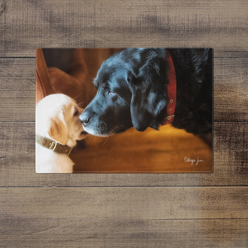 A Little Word In Your Ear - Glass Worktop Saver